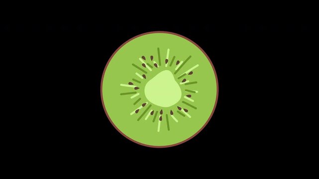 kiwi fruit slice