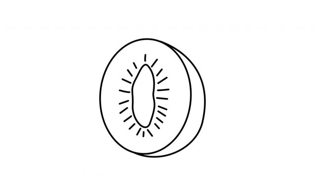 outline kiwi slice fruit