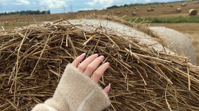 Woman's hand gently strokes the rough surface of a straw bale in a harvested field, rural texture, agriculture detail, harvest season, countryside touch.
