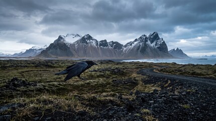 Naklejka premium Black raven flying over dramatic nordic landscape with majestic snowy mountains and moody sky. Concept of flight, wildlife, wilderness, iceland, black bird. Copy space.