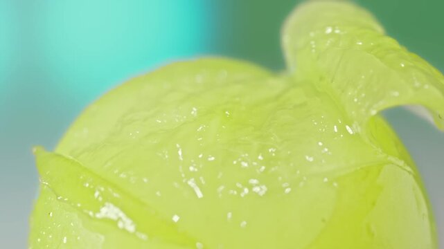 Fresh Green Shine Muscat Grape Macro Peeling Skin Sliced Half Juicy Flesh Water Drop Dripping Slow Motion 4K B-roll Stock Footage