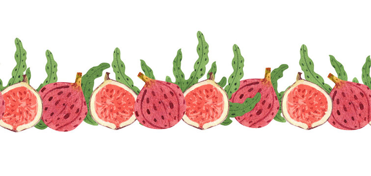 Watercolor hand drawn ripe figs and leaves seamless border isolated on white.