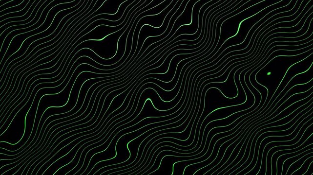 Black and white abstract line texture background animation wavy organic line pattern motion graphic loop 4k background animation.