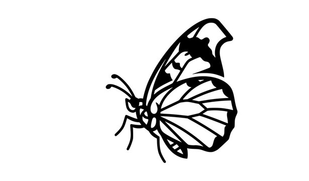 California Dogface Butterfly Wildlife Emblem Pictogram Vector Symbol