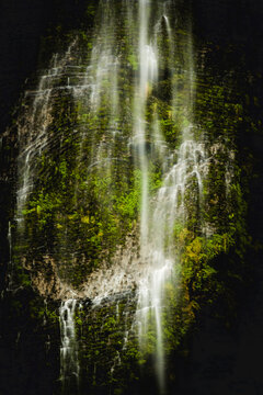 View of Gocta Waterfall cascading down a lush, moss-covered rock cliff face in the cloud forest of Bongara Province, Amazonas, Peru.