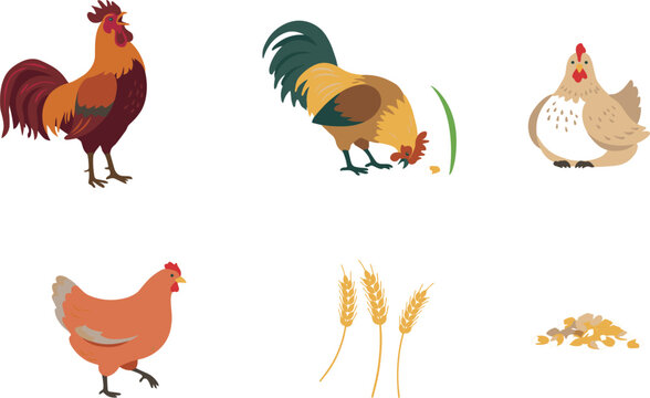 Farm Poultry Vector Element Set Featuring Roosters Crowing and Foraging Hens Wheat Ears and Grain Seed for Agriculture Graphic Designs