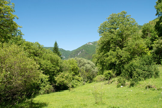 Images of nature, mountain environment in the municipality of Vallepietra, Monti Simbruini Regional Natural Park, Italy.