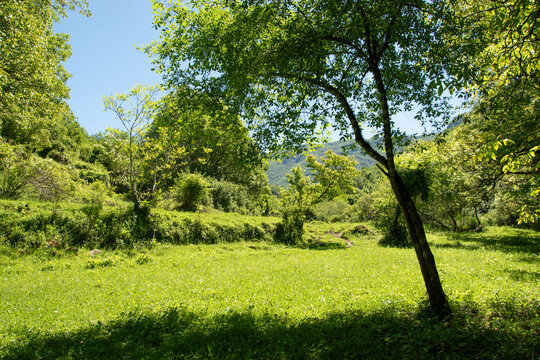 Images of nature, mountain environment in the municipality of Vallepietra, Monti Simbruini Regional Natural Park, Italy.