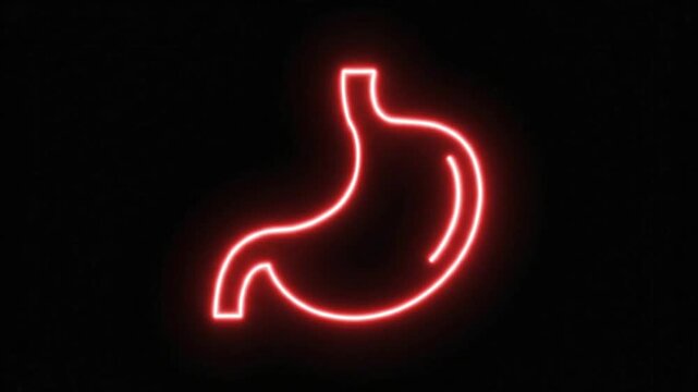 Neon stomach icon glowing red on black background. Human organ medical animation. Digestive system health concept for healthcare videos.