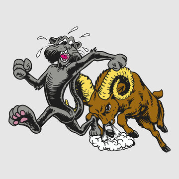 Scared Cat Running from Angry Ram Fighting