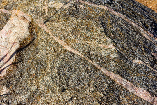 Large migmatite boulder featuring intricate granite gneiss textures and quartz veins, resting in a sunlit sandy gravel quarry, highlighting natural geological patterns and earthy mineral tones