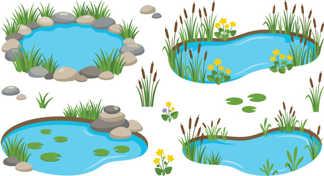 Natural pond collection with freshwater lakes reeds grasses rocks lily pads and peaceful aquatic landscape vector illustrations