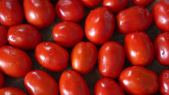 Red ripe tomatoes as background, top view. A lot of washed tomatoes with water drops, ingredient for cooking healthy food.