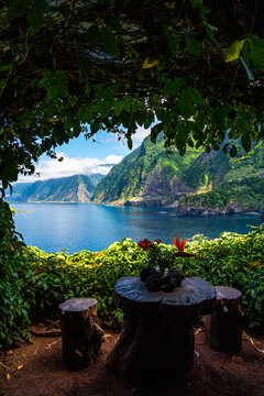 Scenic view of dramatic green coastal cliffs and blue ocean framed by lush vegetation with a rustic wooden table in Seixal, Madeira island on a bright sunny day.