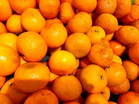 Vibrant ripe Wogan mandarin orange tightly packed together, highlighting their textured peels and natural citrus details.