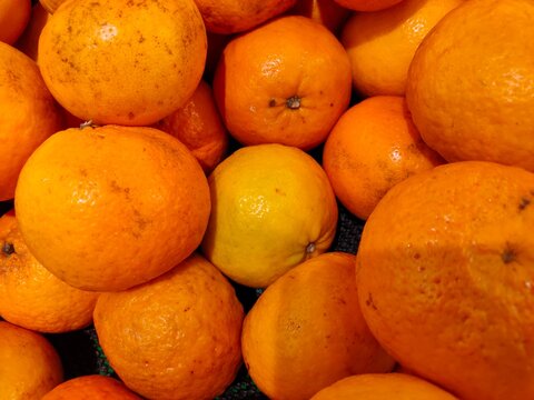 A vibrant close-up shot of ripe, Wogan mandarin oranges tightly packed together, highlighting their textured peels and natural citrus details.