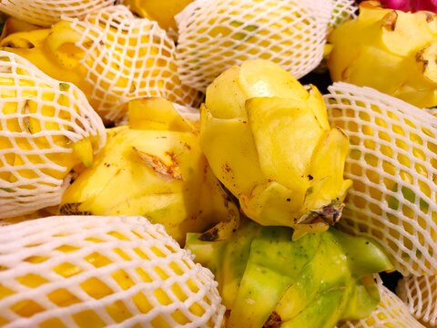A close-up of vibrant yellow dragon fruits wrapped in protective white foam netting, displayed in a dense pile.