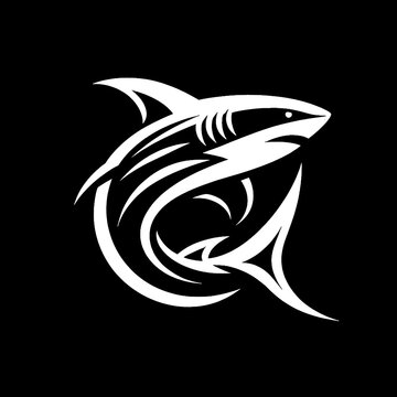 black and white shark