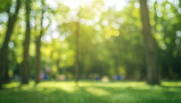 Blurred green spring forest background with bright sunlight shining through the trees
