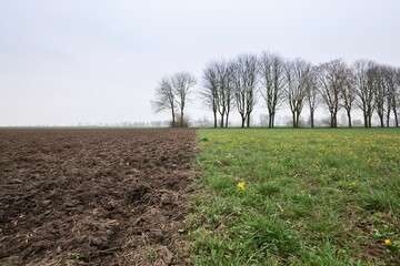 Naklejka premium The Plowed Field and Green Meadow with a Row of Bare Trees