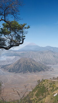 View of the volcanic landscape of Bromo Tengger Semeru National Park with Mount Bromo rising from the caldera under a clear blue sky in East Java, Indonesia.
