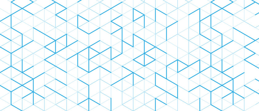Blue isometric line pattern. White geometric grid background. Modern technology concept. Minimalist polygonal network. Vector illustration