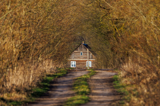 View of a rustic wooden house at the end of a dirt road framed by a tunnel of bare trees in the Podlasie region, Poland.