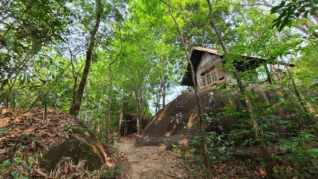 山小屋とジャングル