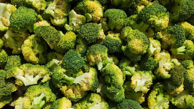 Fresh green broccoli florets fill the frame in a close view. Healthy vegetable, raw produce, cooking ingredient, food texture.