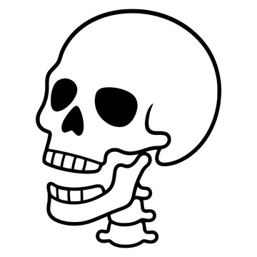 Human skull side view profile line art vector illustration