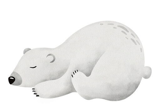 Watercolor cute white polar bear sleeping. Hand drawn illustration of arctic animal isolated on background. for kids goods,linen, pajamas and childrens room