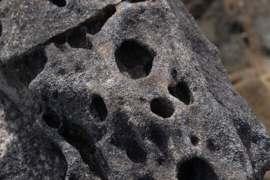 Close-up of rough and eroded rock surface texture with porous holes from coastal weathering
