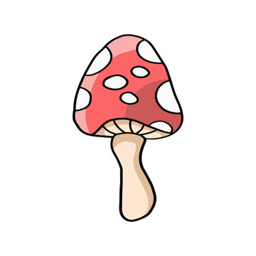 Cute Red Mushroom illustration ico for nature design