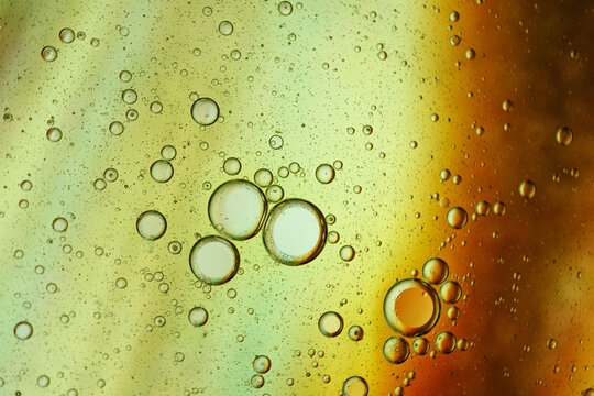 Microscopic cells suspended in liquid with abstract colorful background