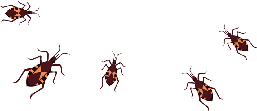Chagas Disease Insect Illustration Featuring Triatomine Kissing Bug, Disease Vector, Parasite Transmission, and Public Health Awareness. Vector Isolated.