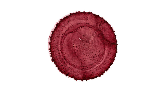 Deep red circular stain with textured rings and irregular edges on white