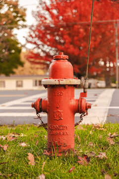 Weathered Red Fire Hydrant Beneath Autumn Trees