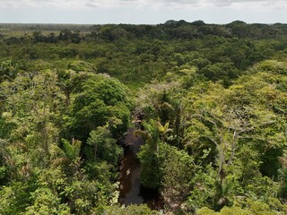 Aerial view of Crique Canceler surrounded by lush tropical vegetation near Sinnamary in French Guiana. © Mykola