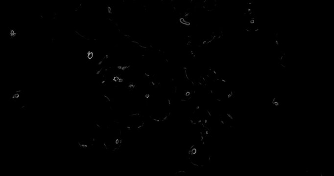 Abstract dark background with floating glowing white bubbles and particles an black featuring
