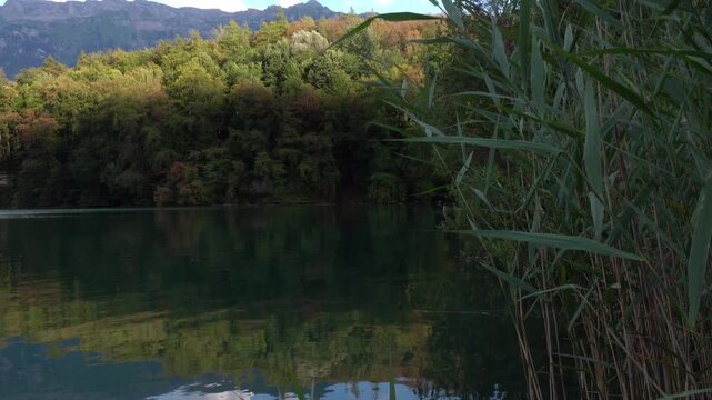 Autumn lake surrounded by forest and mountains.