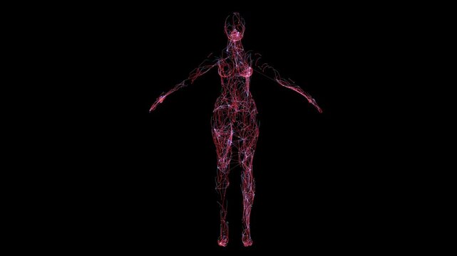 a digital data cyber woman with lines and points representing data and calculations