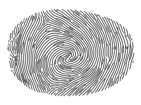 Spiral Fingerprint Line Art Vector Illustration Isolated on White Background