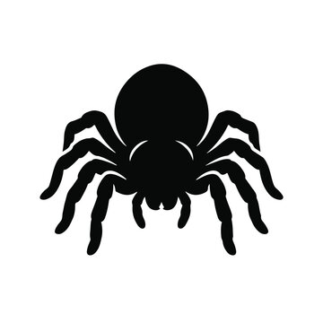Tarantula spider symbol, arachnid silhouette icon, black scorpion and wolf spider sign, invertebrate octoped status animal vector illustration isolated on White Background silhouette