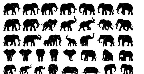 Obraz premium African and Asian elephant silhouette different poses vector collection
