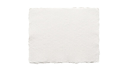 Rough texture white paper with torn edges for background.