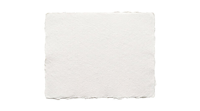 Rough texture white paper with torn edges for background.