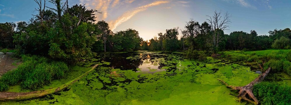 Serene Wetland Sunset