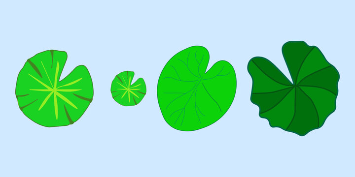 Green lily pads vector set, aquatic lotus leaf collection on blue background, floating pond plant illustrations for nature design