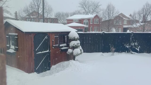 Snowy backyard with shed