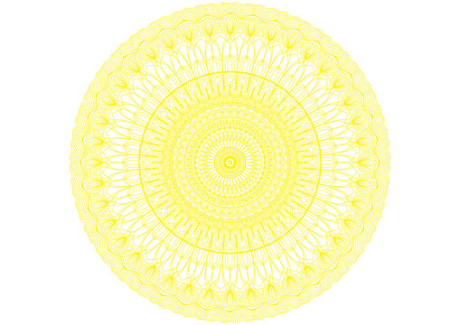 Intricate Circular Mandala Floral Geometry Artwork